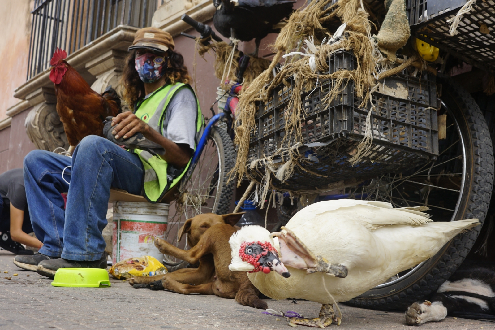 Familiares del 'Señor de los patos' buscan quitarle su casa en Mérida