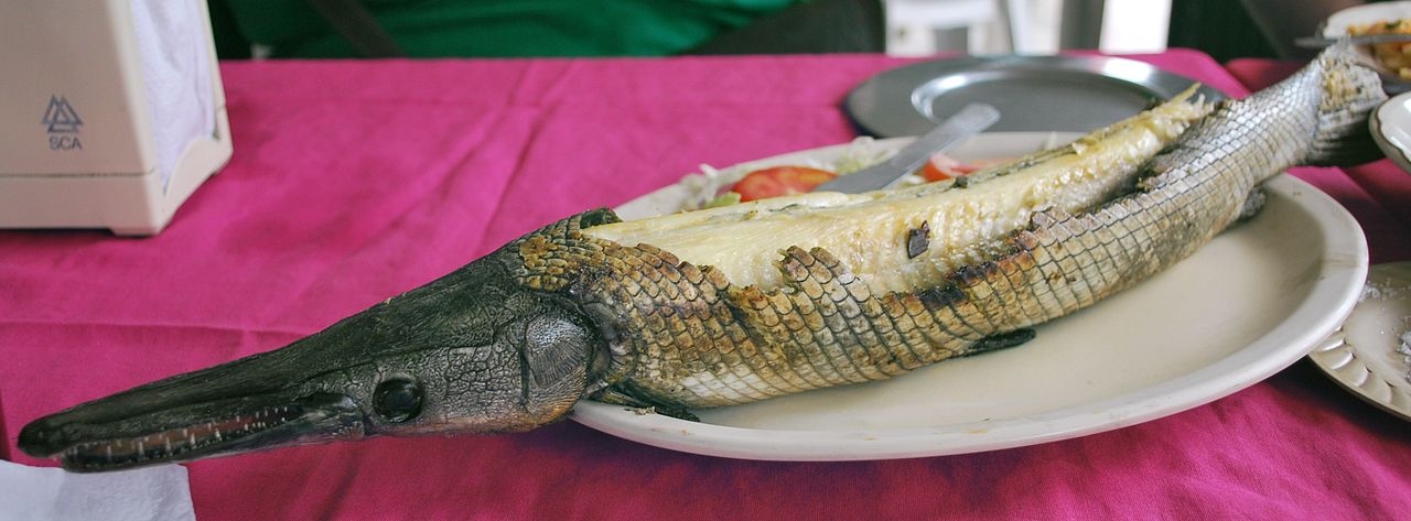 Pejelagarto asado, una delicia tabasqueña para cuaresma