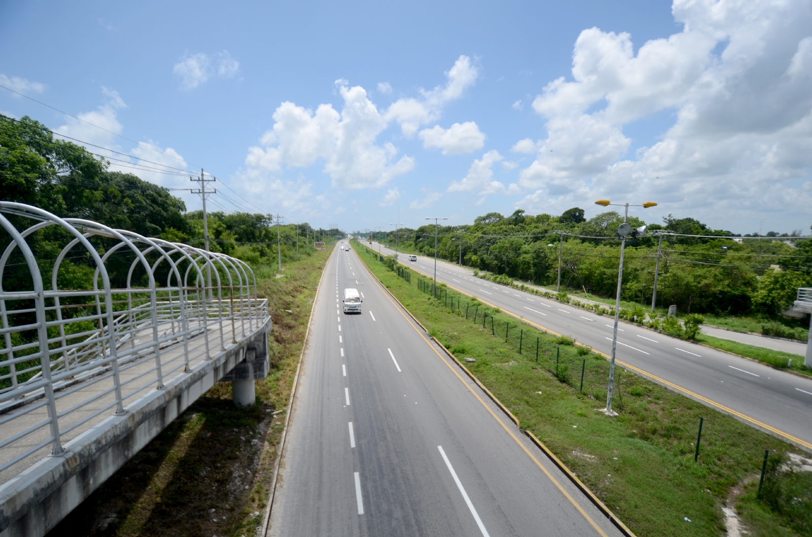 El tren atraviesa ecosistemas muy frágiles.