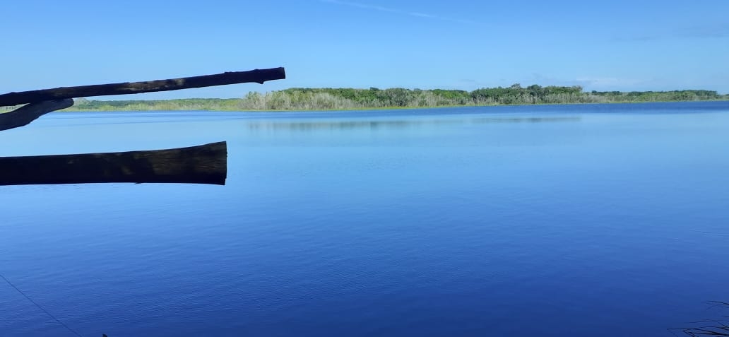 Laguna de Santo Domingo en José María Morelos, belleza en la Zona Maya