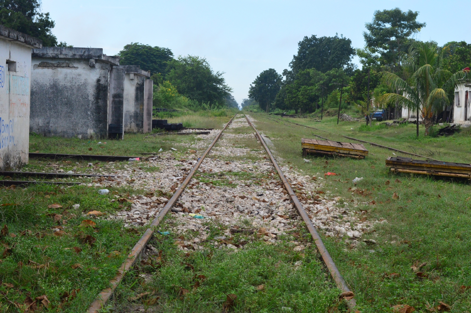 El Tren Maya tiene el objetivo de beneficiar a las personas