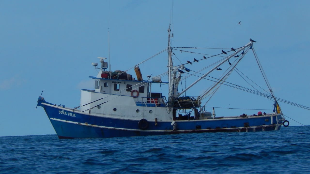 Piden actualizar estudios sobre la veda del camarón en Ciudad del Carmen