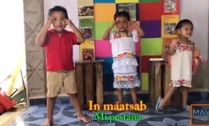 Niños yucatecos aprenden maya a través de la canción “Baby Shark”: VIDEO