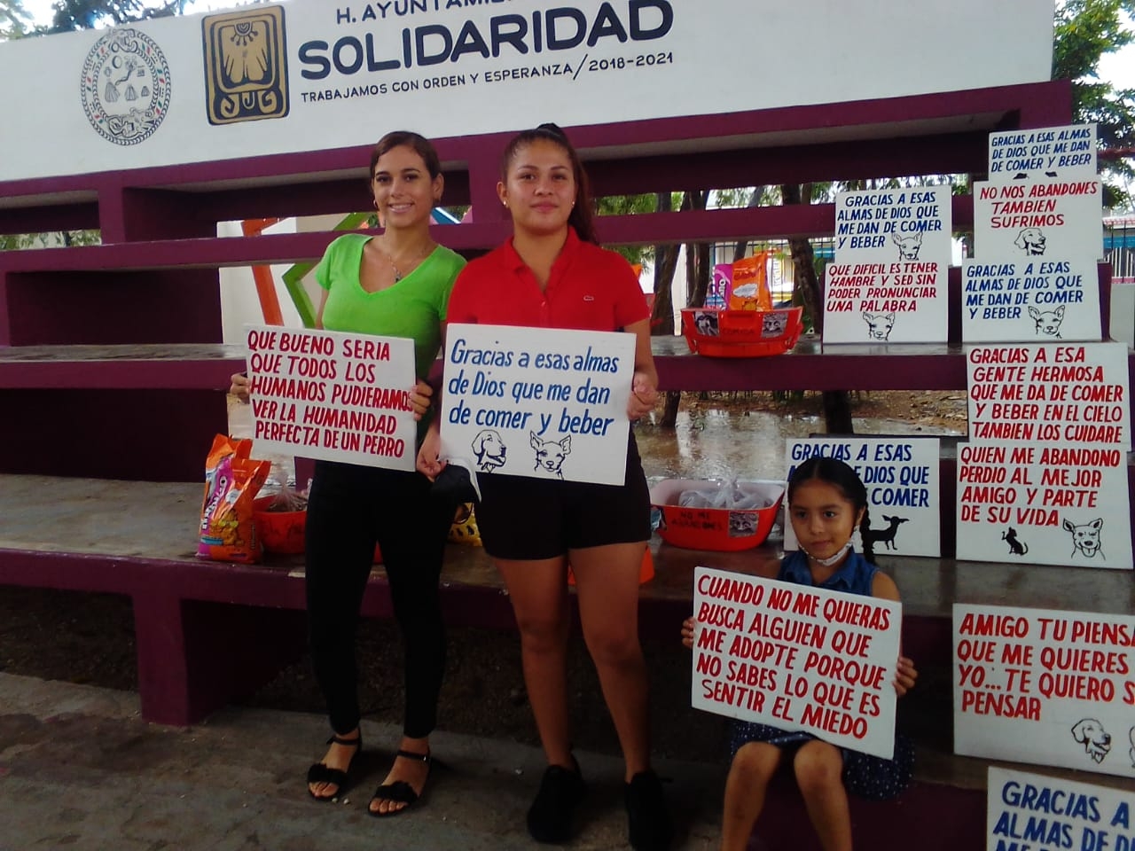 Instalan comederos en parques de Playa del Carmen para animales callejeros