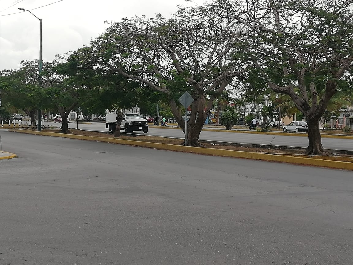 Tráfico en Cancún este lunes: Avenida Andrés Quintana Roo con movilidad fluida