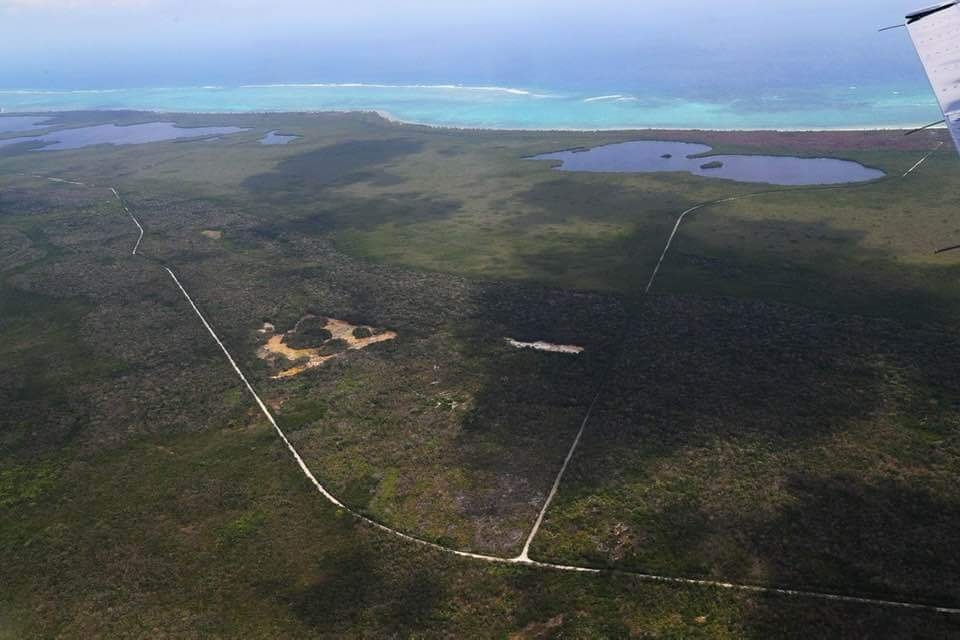 Incendios forestales han afectado 88 hectáreas de vegetación en Quintana Roo