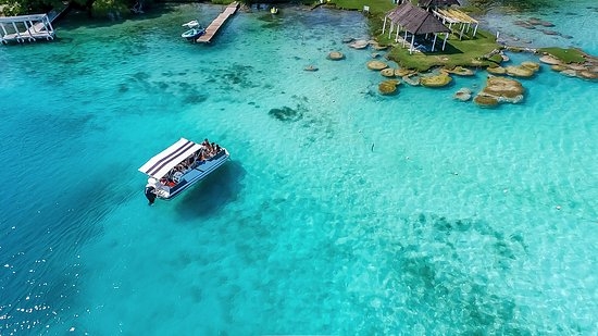 La Isla de los Pájaros: La casa de las aves endémicas en Bacalar