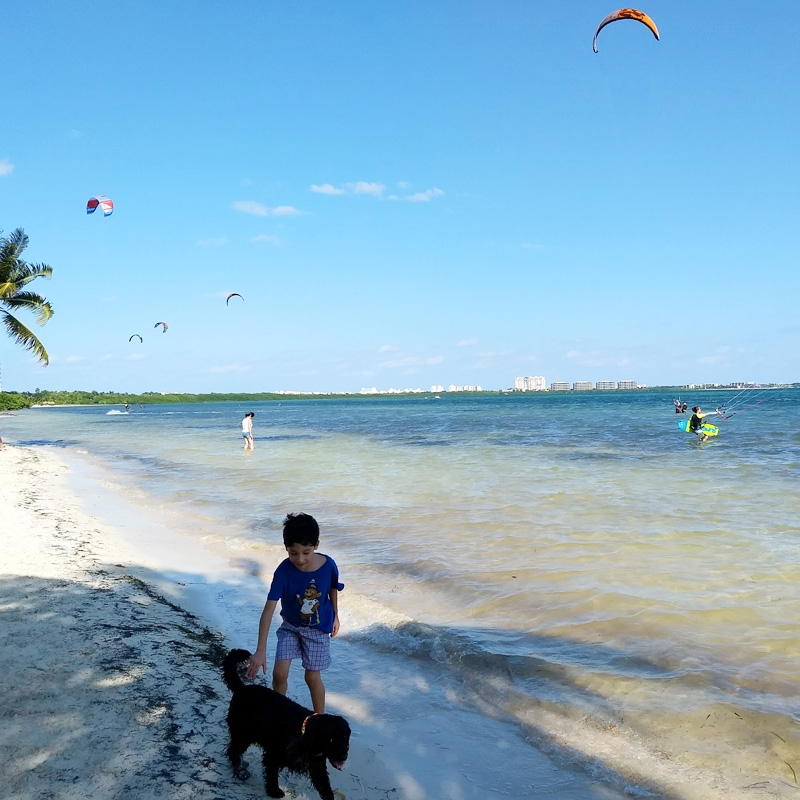 ¿Qué playas son libres de humo de tabaco en Cancún?