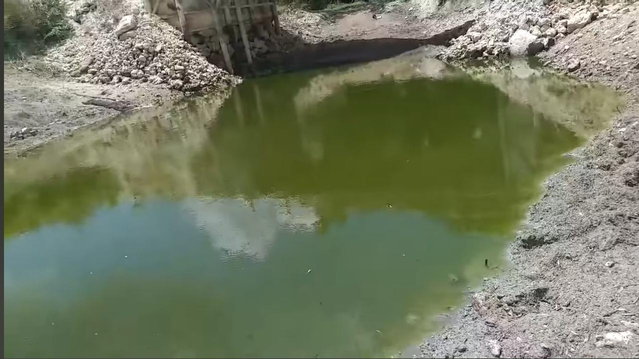 El bajo nivel de los arroyos a provocado la muerte de muchos peces