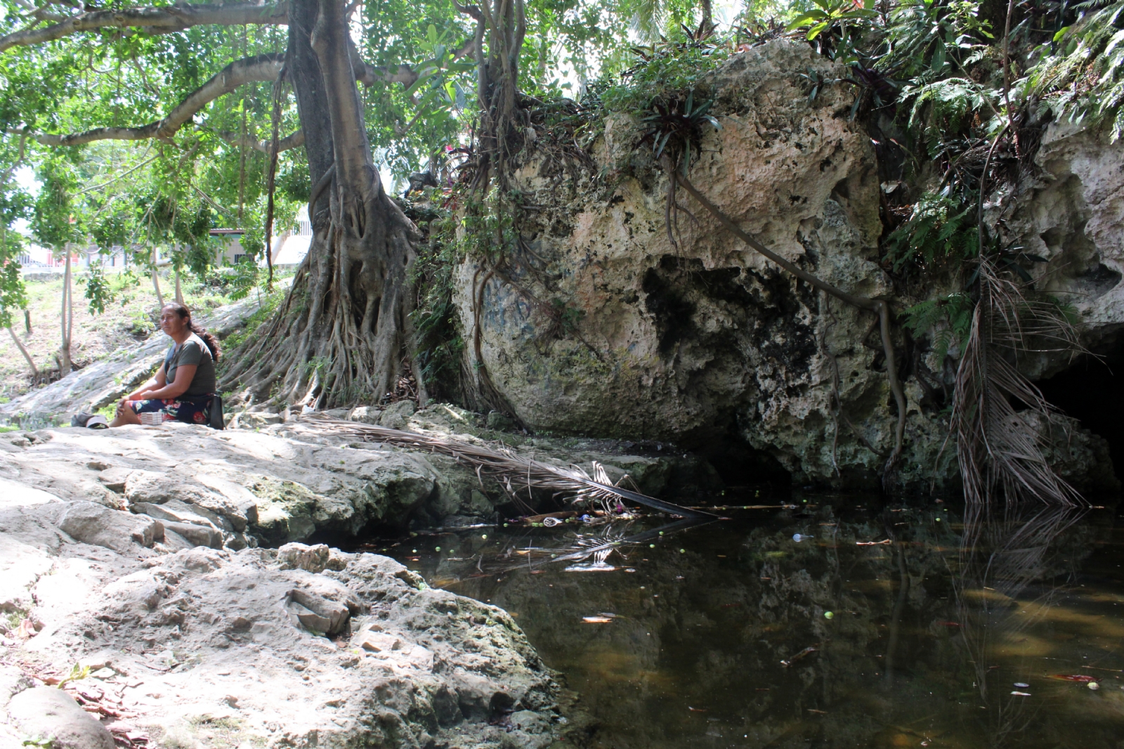 Hallan metales tóxicos diluidos en el agua de cenotes urbanos de Cancún