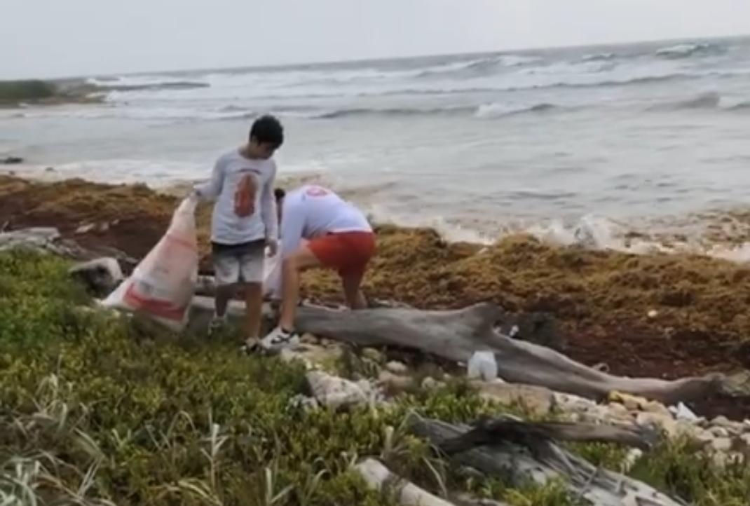 Ciudadanos acuden a limpieza de playas por anidación de Tortugas Marinas en Mahahual