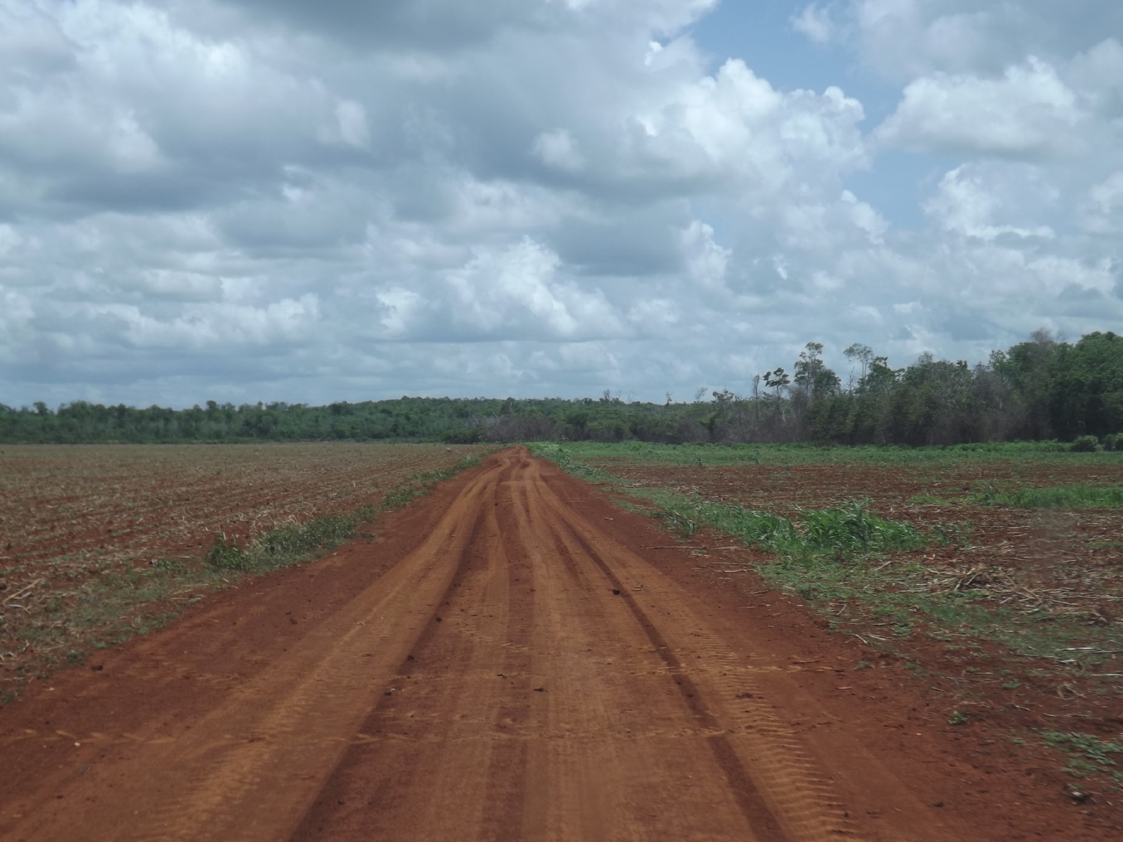 Ejidatarios de Bacalar, 'obligados' a vender sus tierras a menonitas