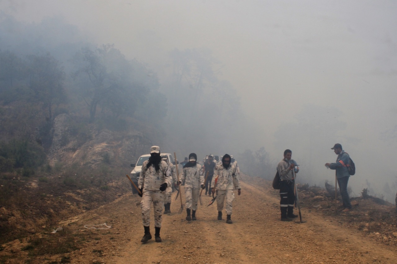 Incendio arrasa con 200 hectáreas forestales en Tetela de Ocampo, Puebla