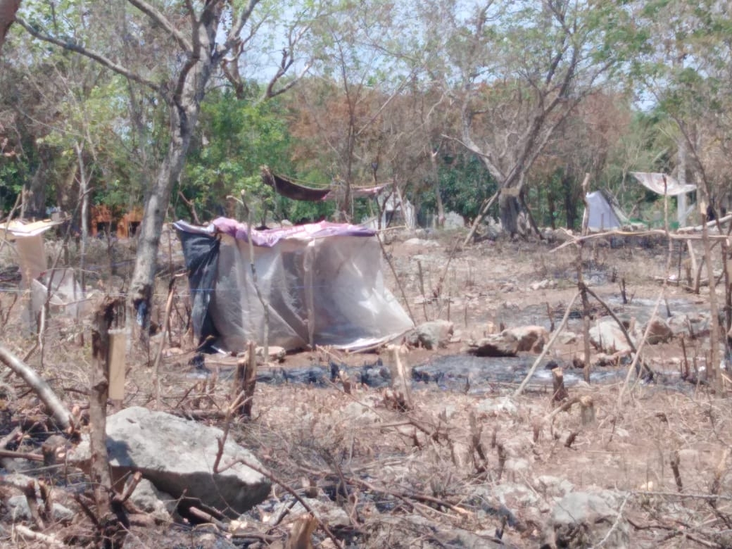 Mujeres invaden un terreno baldío al sur de Mérida