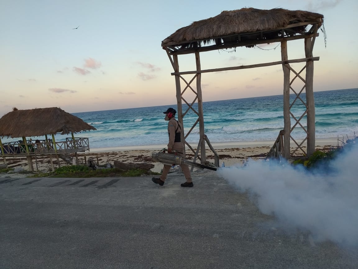 La fumigación de las playas en Cozumel ayuda a bajar la cantidad de mosquitos