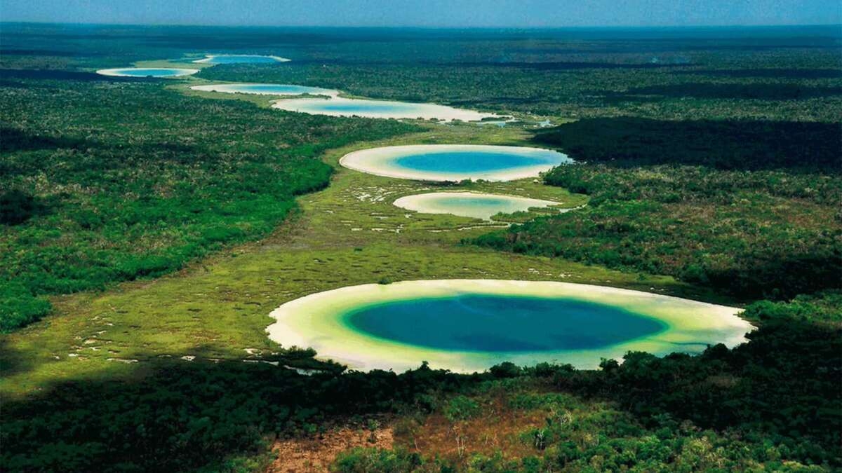 Quintana Roo: 'Much Kanan K’aax', reserva maya en Felipe Carrillo Puerto