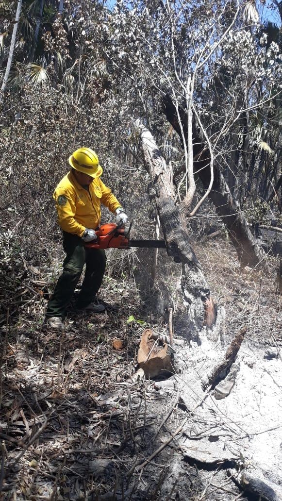 Conafor controla el 90% del incendio forestal en la carretera Uvero y Mahahual