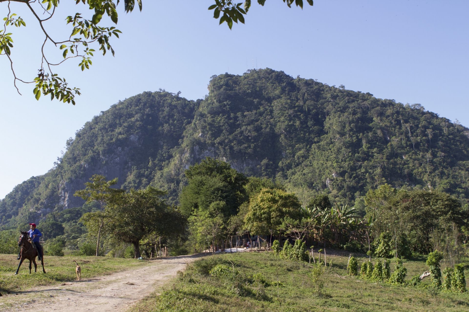 Conoce a los Yumká, guardines sobrenaturales de la selva tabasqueña