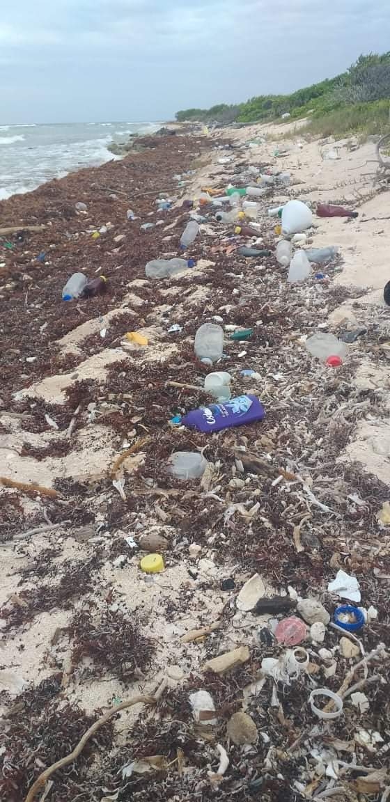 La acumulación de basura en playas de Mahahual es mucha