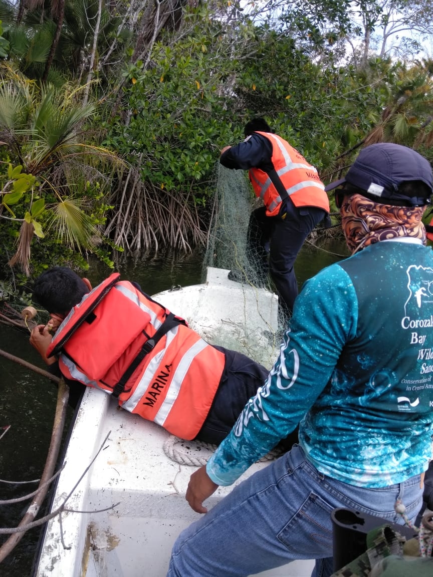 Semar retira redes de pesca ilegales en el Río Hondo al sur de Quintana Roo