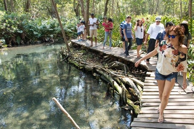 Guiado por lugareños, el visitante puede admirar a pie o en lancha este ecosistema.