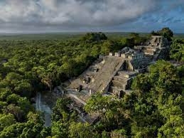 AMLO: Reserva de Calakmul contará con mil 500 hectáreas para la protección del jaguar
