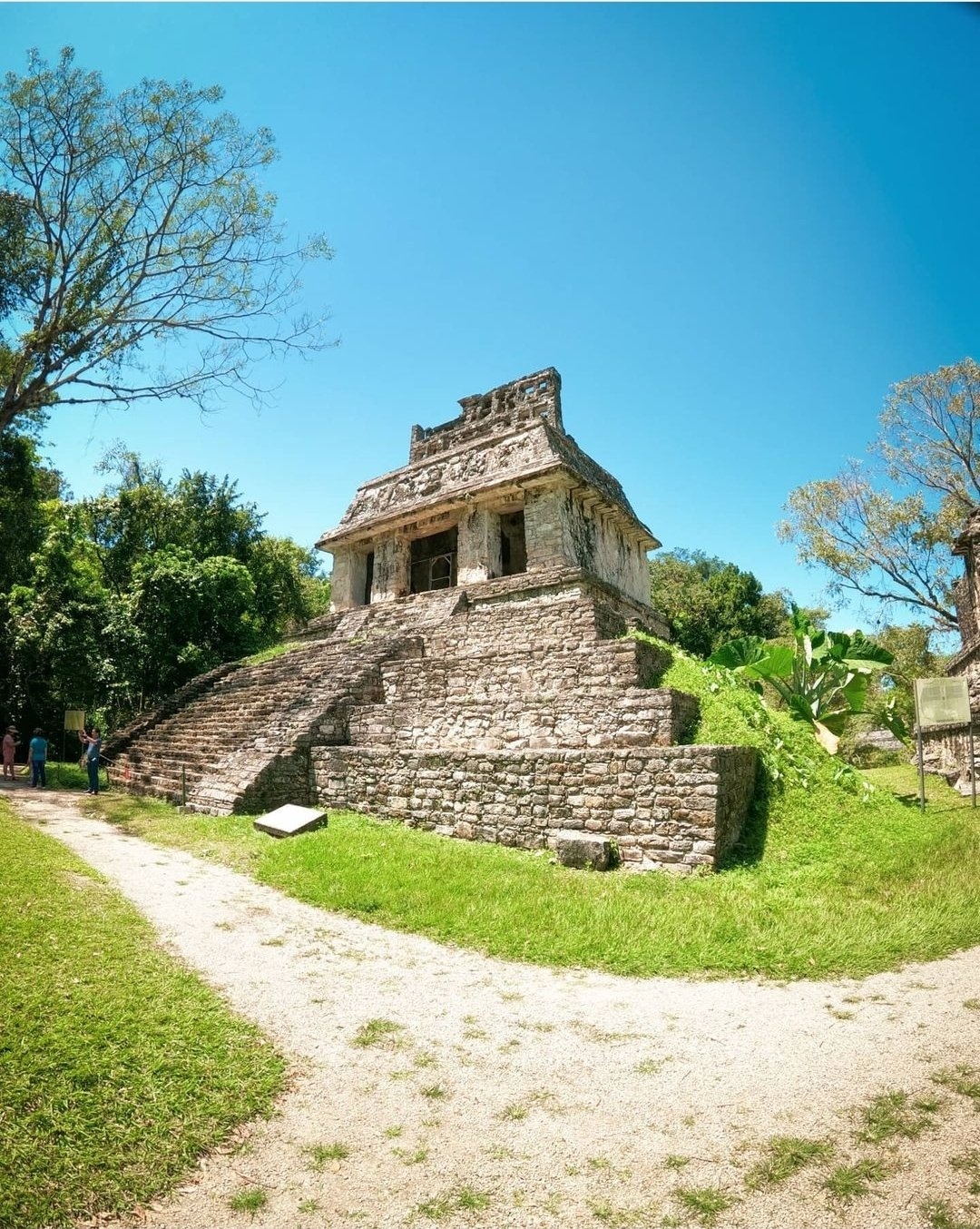 La Zona Arqueológica de Palenque estará cerrada hasta nuevo un caso de COVID-19