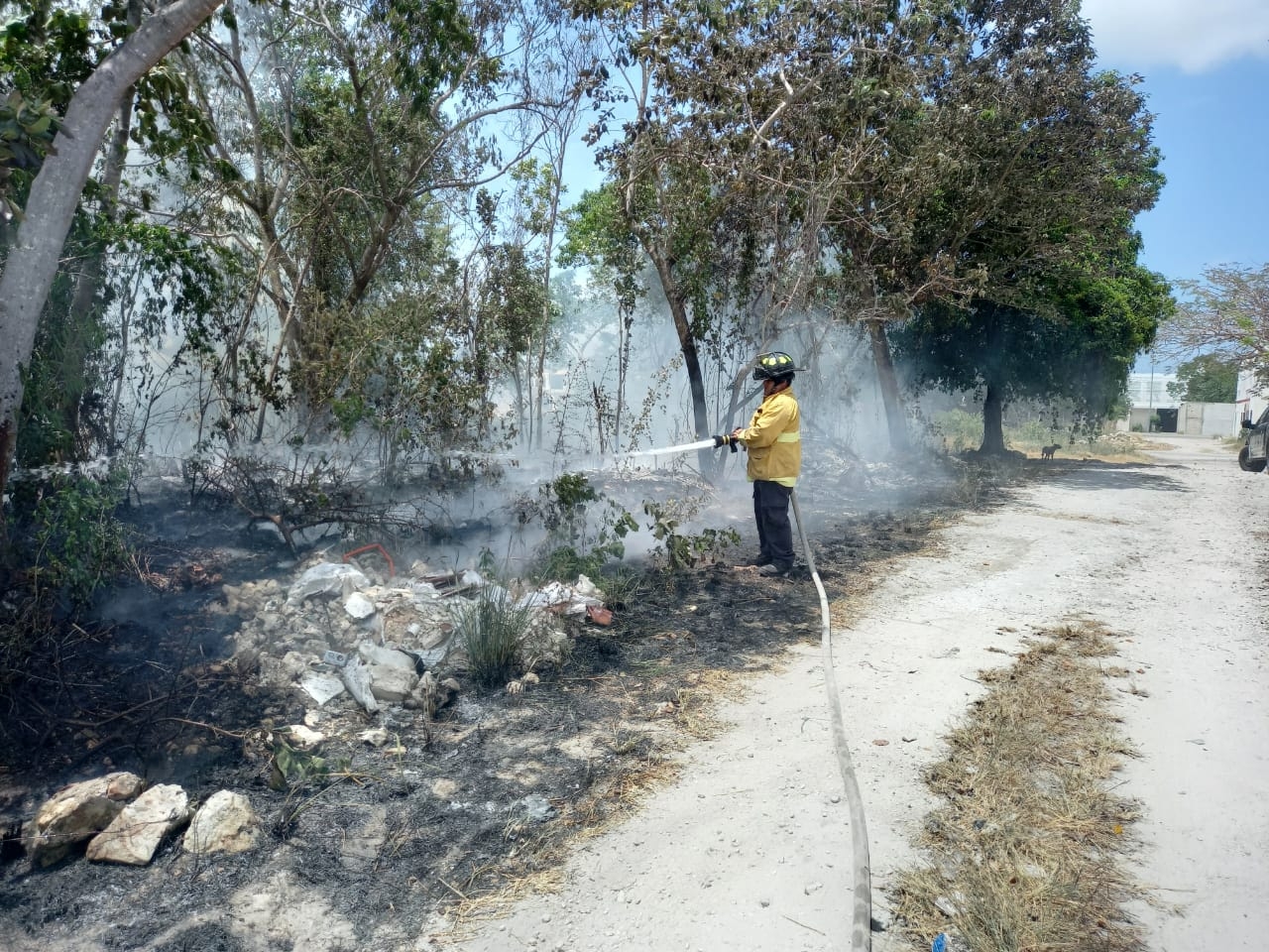 Bomberos denuncian a Conafor por falta de apoyo contra incendios en Playa del Carmen