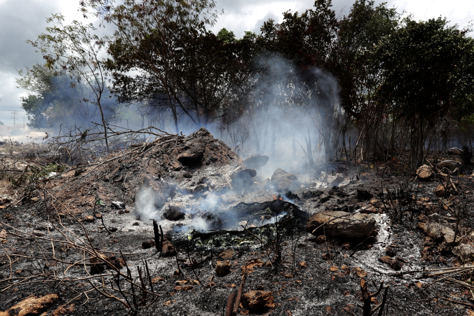 Incendios forestales afectan Áreas Naturales Protegidas en Quintana Roo