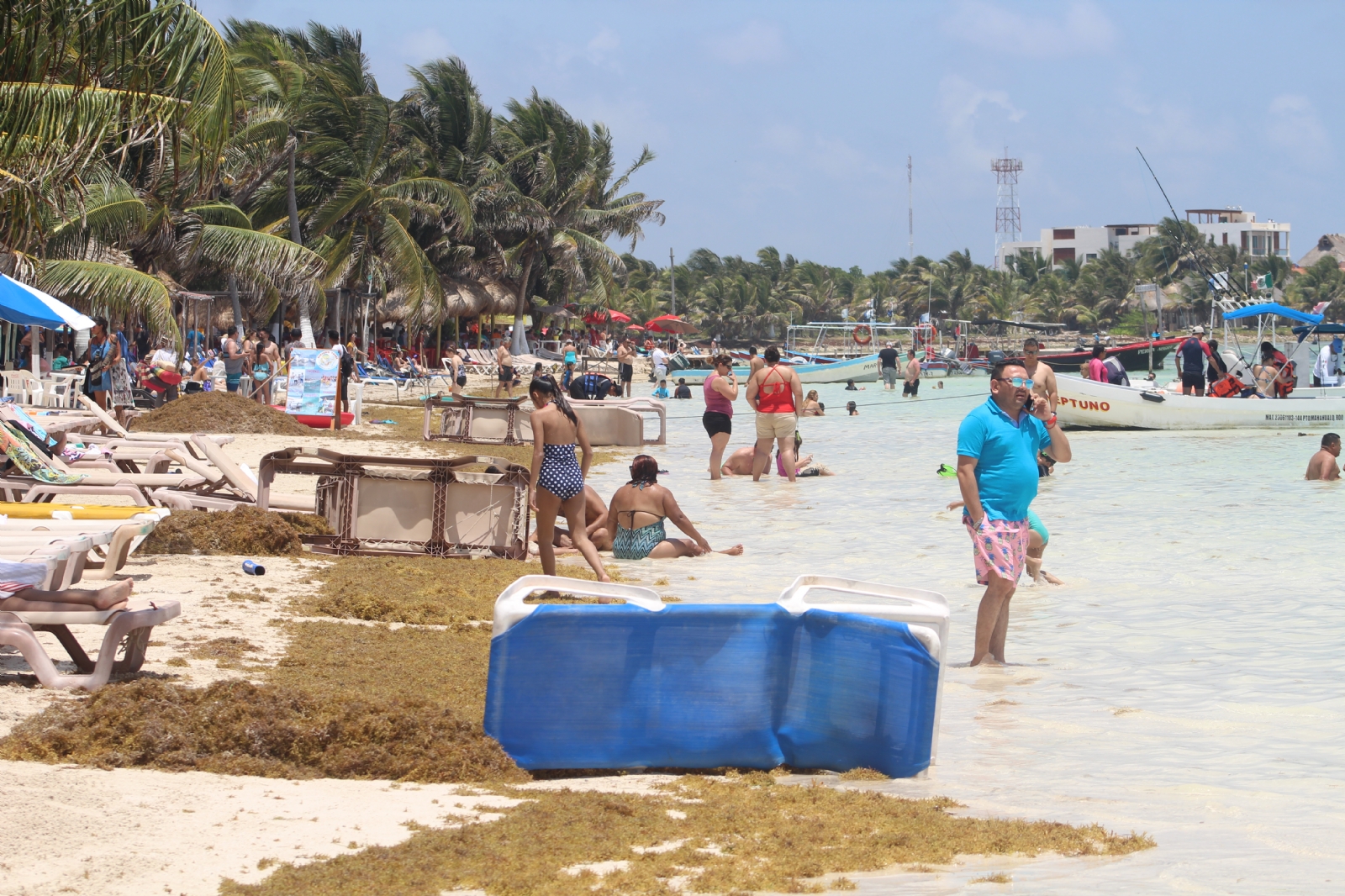 Empresarios temen recale de sargazo en Mahahual; trabajan sin apoyo de ningún gobierno