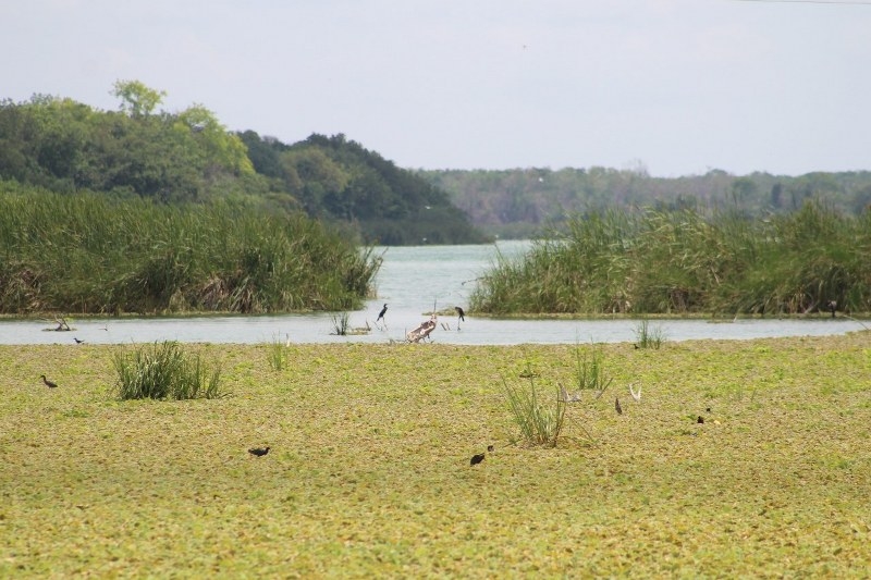 Los pescadores continúan trabajando pese a todos los riesgos