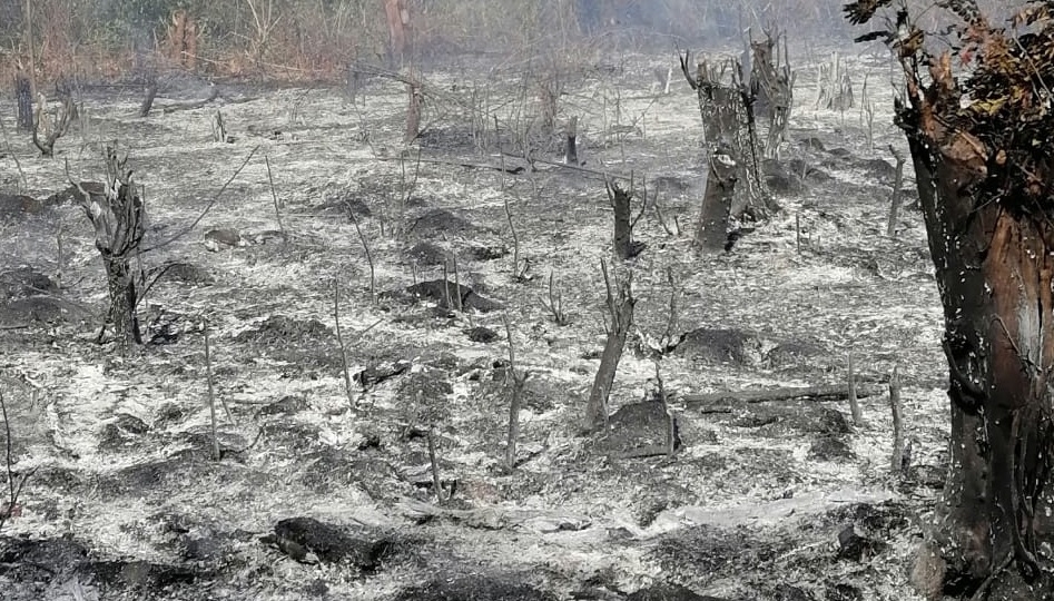 Desde ayer, trabajadores de la compañía intentan arreglar la falla que ocasionó el incendio que se prolongó por varias horas