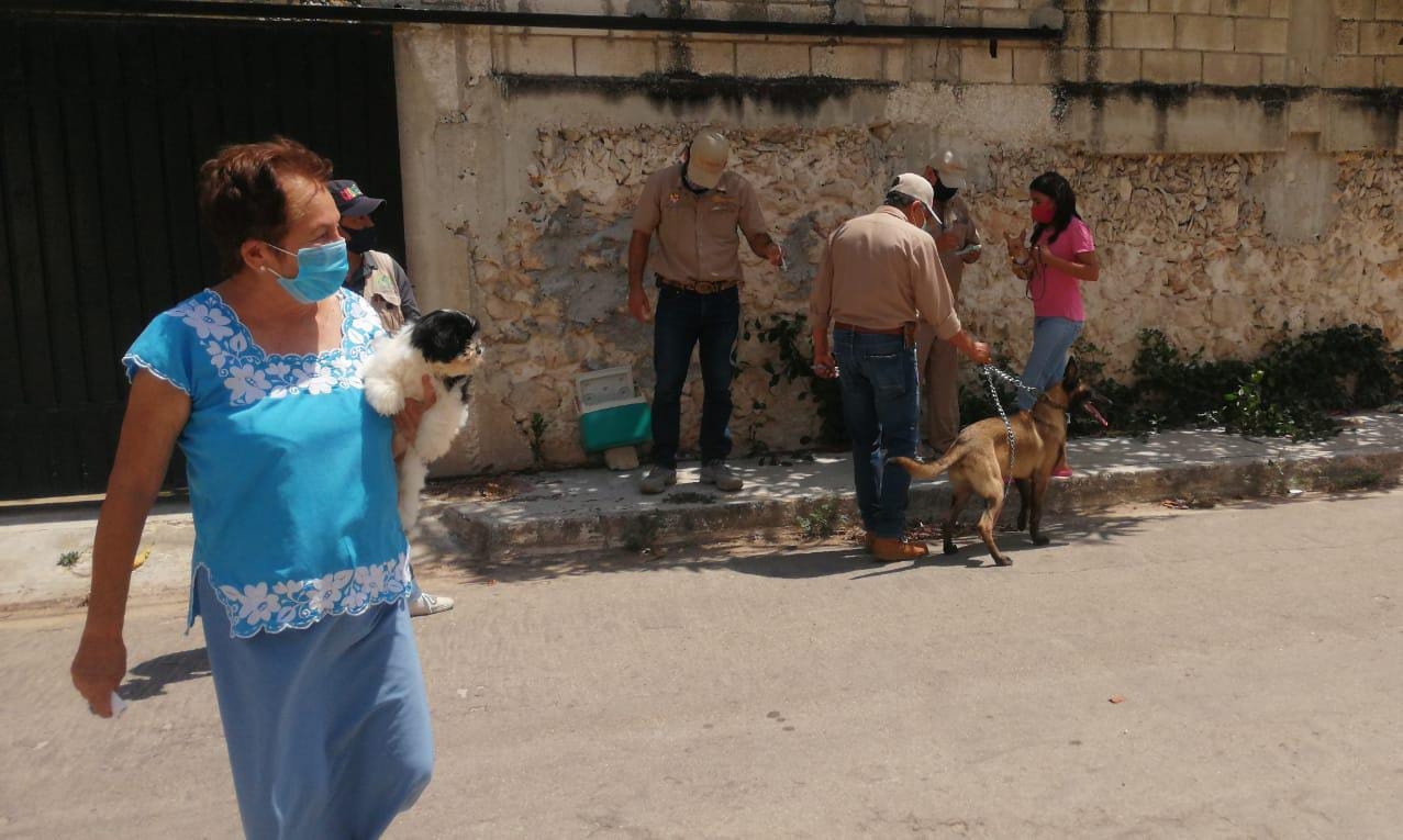 La vacunación se hace de colonia en colonia, donde la ciudadanía ha registrado buena respuesta