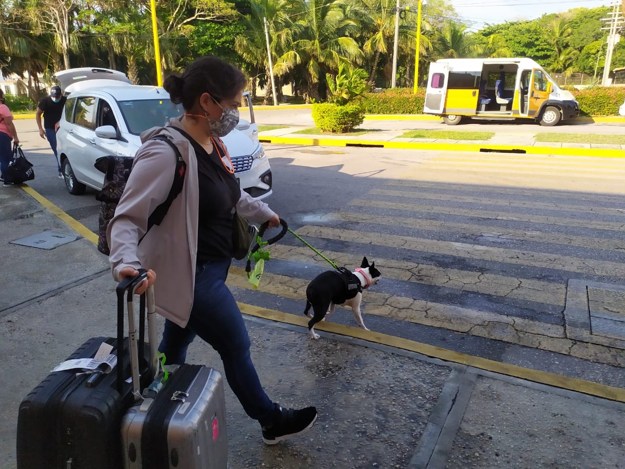 Nani, la perrita de Ciudad del Carmen que viaja gratis