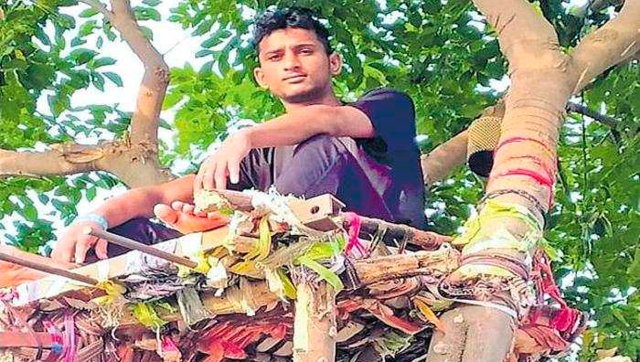 Hombre con COVID-19 vivió 11 días en un árbol para no contagiar a su familia