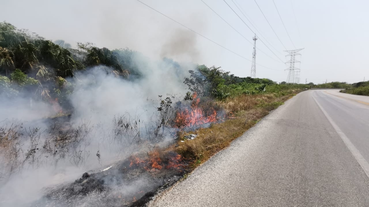 Alertan por incendio de maleza en carretera Ciudad del Carmen-Isla Aguada