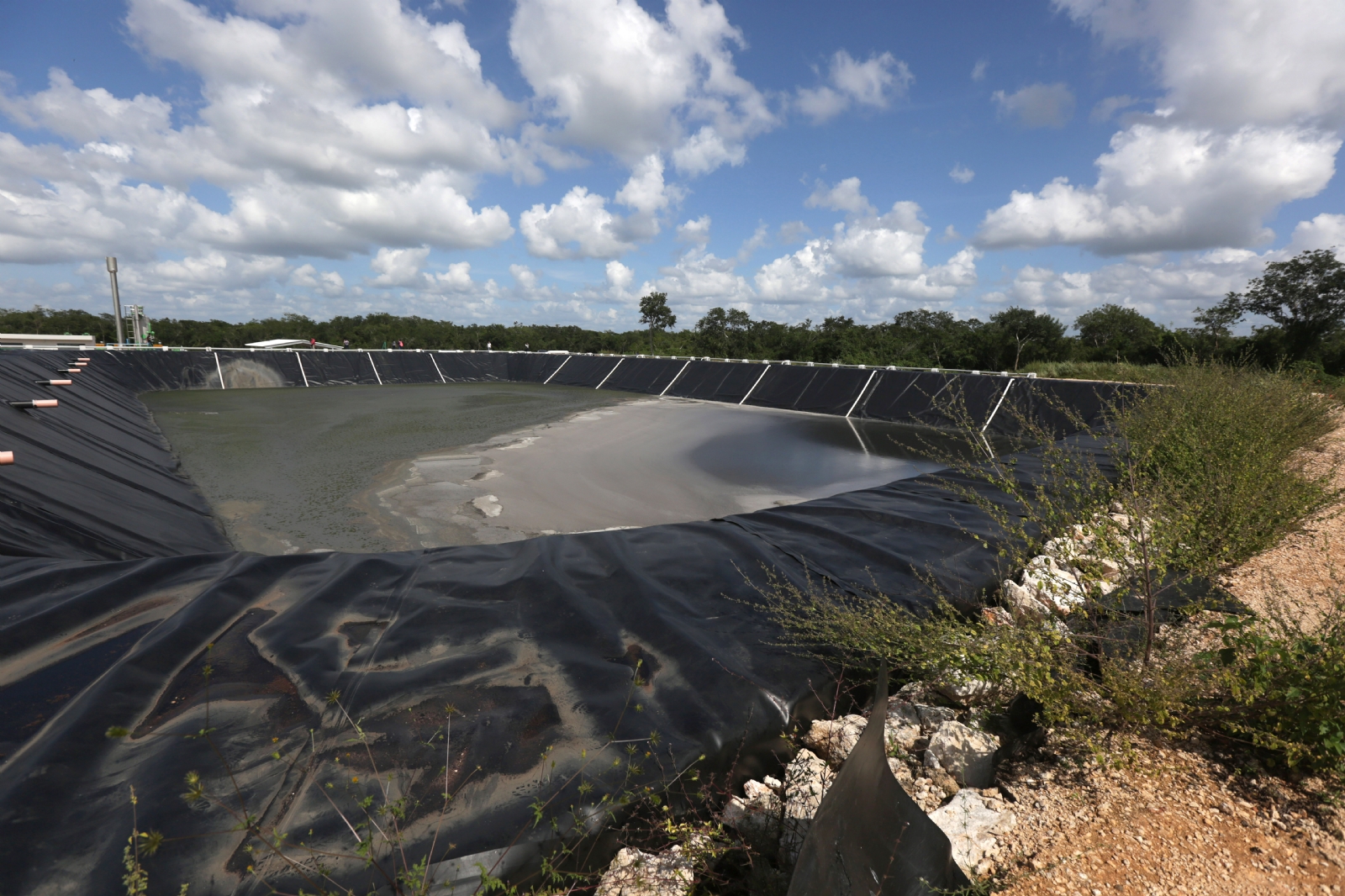 Granja porcícola de Homún, Yucatán, sería una fábrica de excretas, denuncian