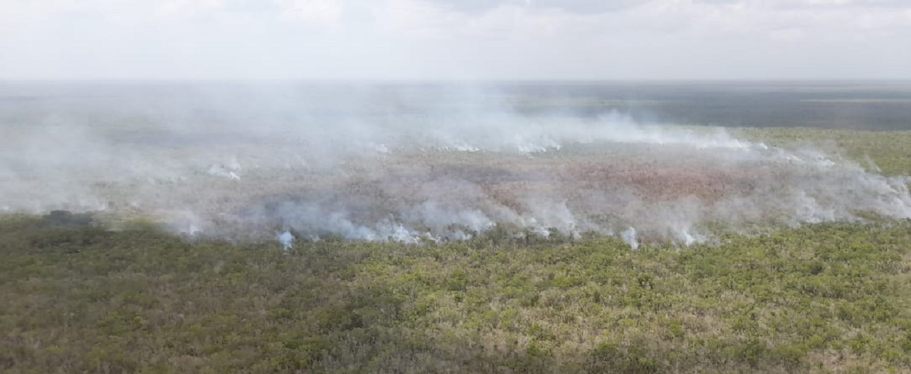 Reserva de la Biosfera de Sian Ka’an en peligro por incendio forestal