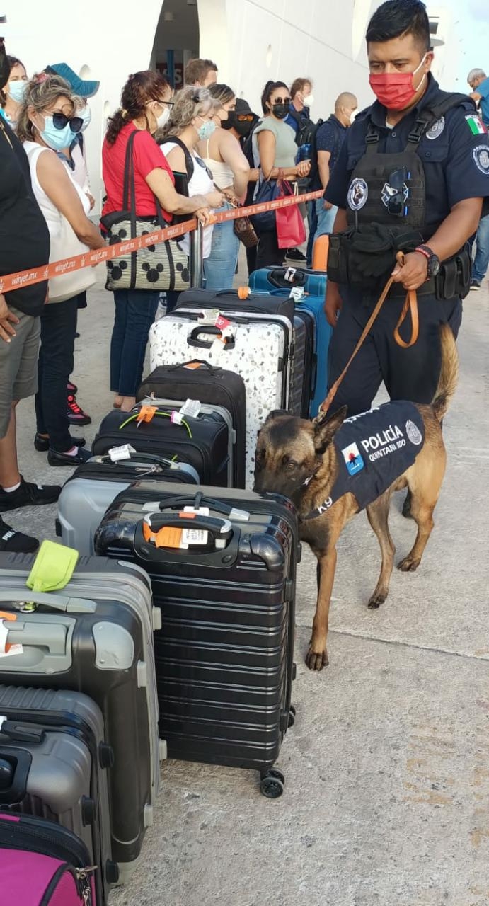 Activan operativo canino para detección de drogas en muelle de Cozumel