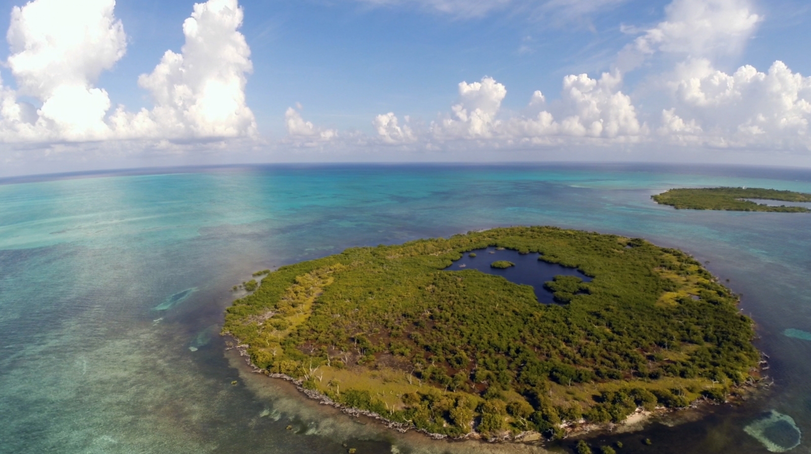 Banco Chinchorro, paraíso submarino