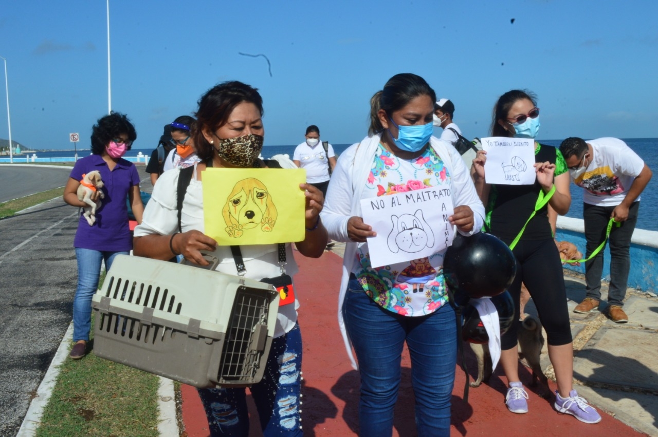 La caminata del grupo rescatista inició en el Asta Bandera y terminó en el parador turístico del Malecón de Campeche