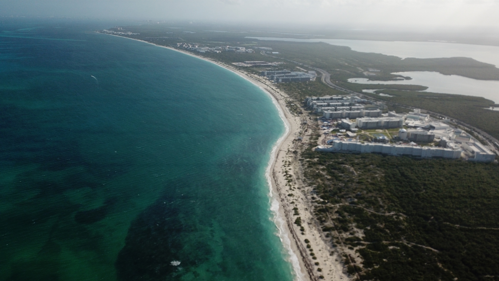 Desarrollos inmobiliarios, peligro inminente para la selva de Quintana Roo