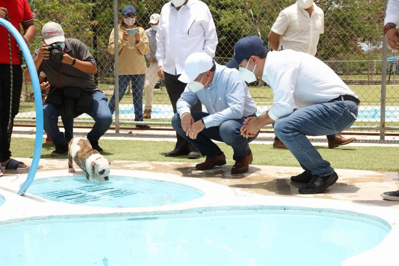 Mauricio Vila anuncia la creación de la Unidad Especializada en el Combate al Maltrato de los Animales Domésticos