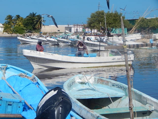 Pescadores de Hunucmá ponen pausa a la actividad en la mar