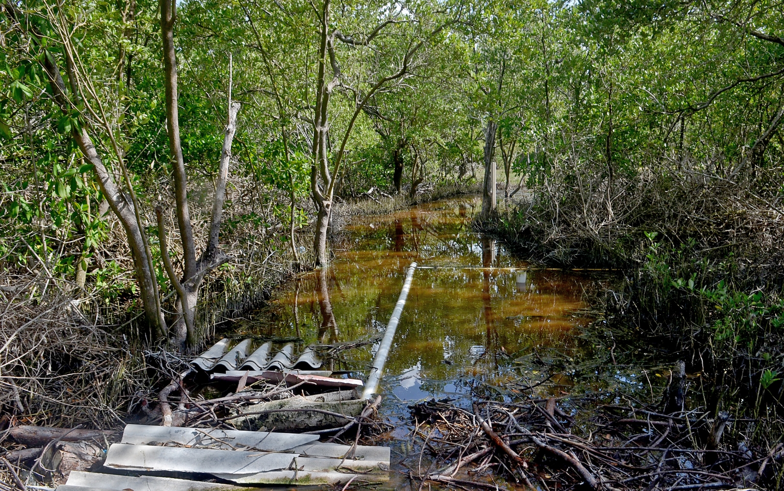 Las conexiones clandestinas son frecuentes en Holbox