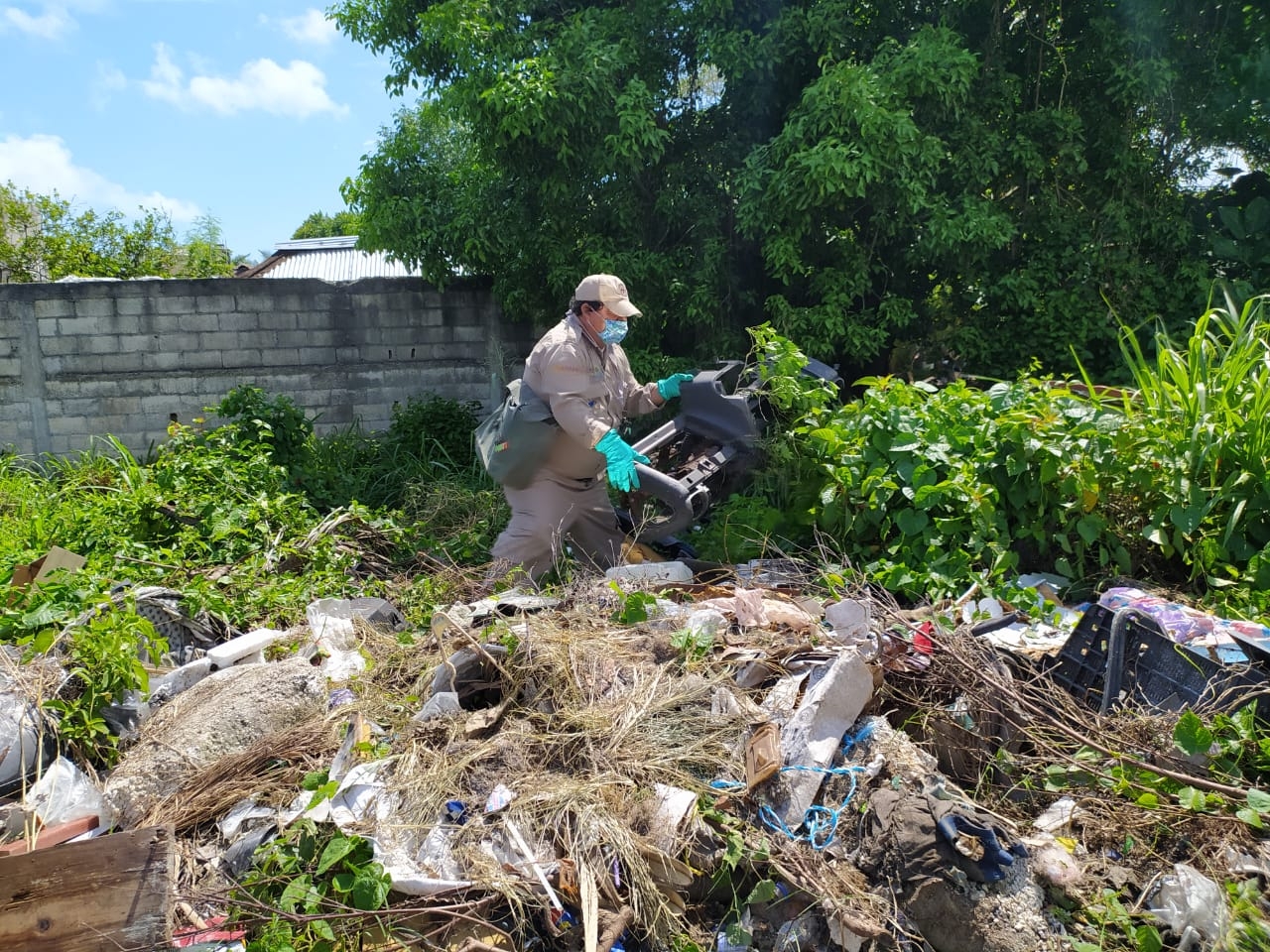 Basura en terrenos baldíos principales criaderos de mosquitos del dengue en Cozumel