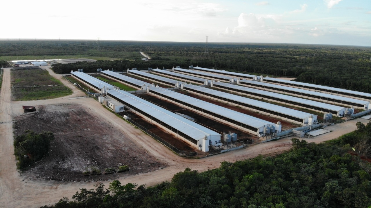 Denuncia contra granja porcícola en Homún hace eco en comunidades de Yucatán