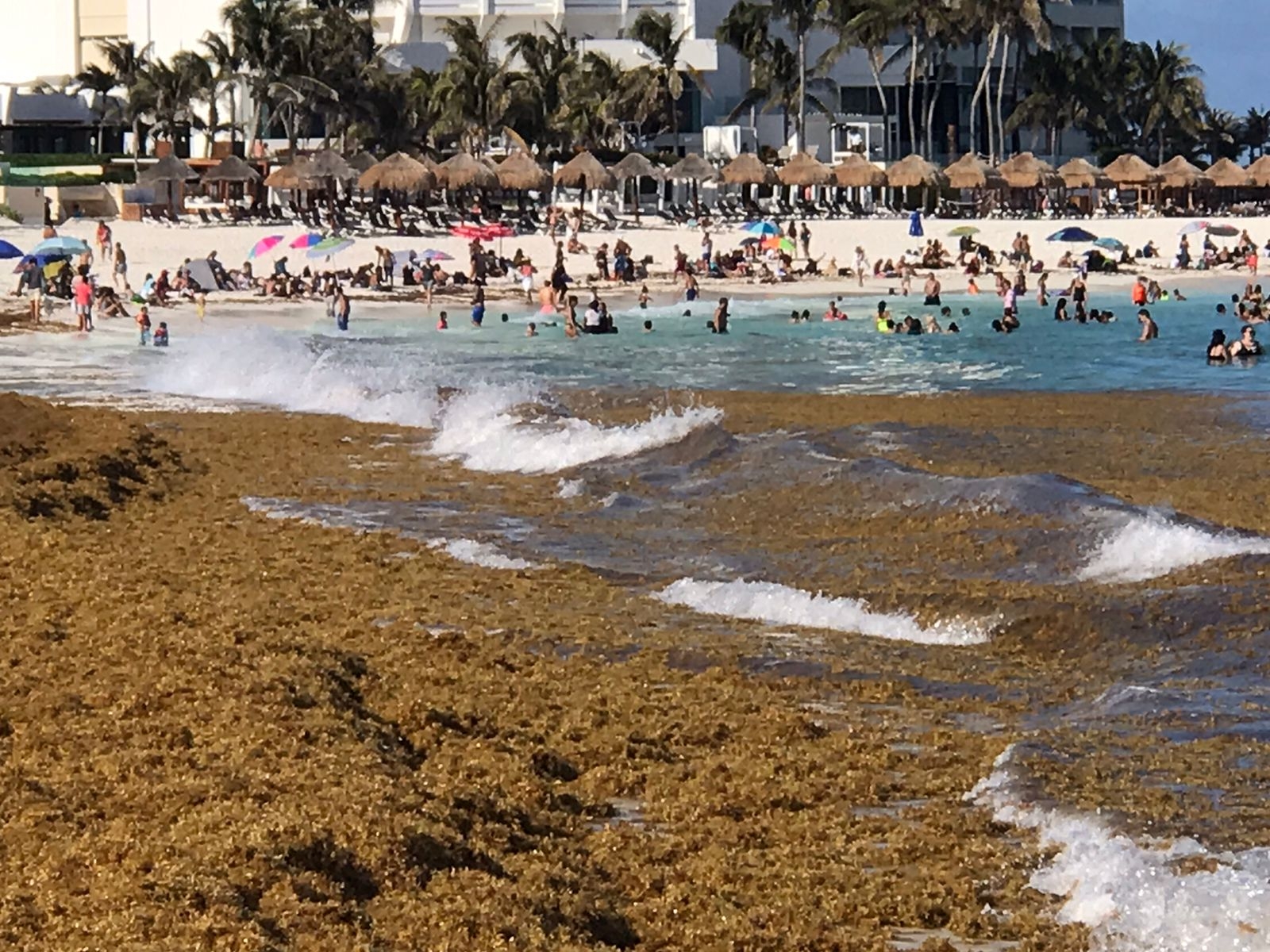 Entre fiesta y sargazo, bañistas saturan Playa Gaviota en Cancún: VIDEO