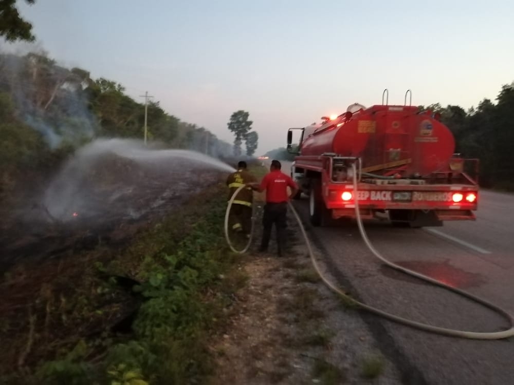 los bomberos acudieron a apagar las llamas