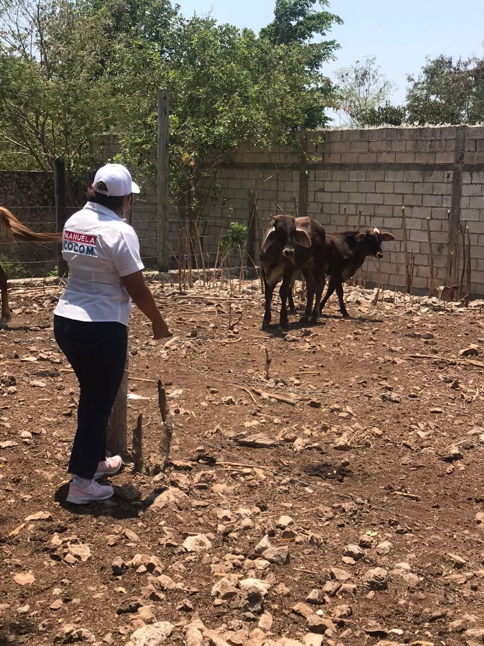 Elecciones Yucatán: Manuelita Cocom propone más atención médica para animales